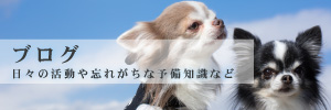 ブログ