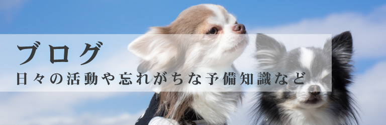 ブログ
